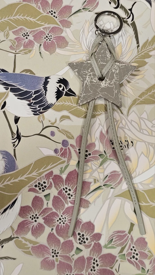 ✅ NUEVO Llavero Estrella Dior Plata Gris Cuero Llavero Cartera Llavero Dije en Caja Nuevo en Caja Foto 4 de 4