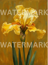 Digital Photo Image Painting Beautiful Flower Picture Art Wallpaper Desktop