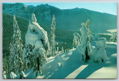 Winter landscape, Snoqualmie, WA, Cascade Mountains, Restaurant, Postcard