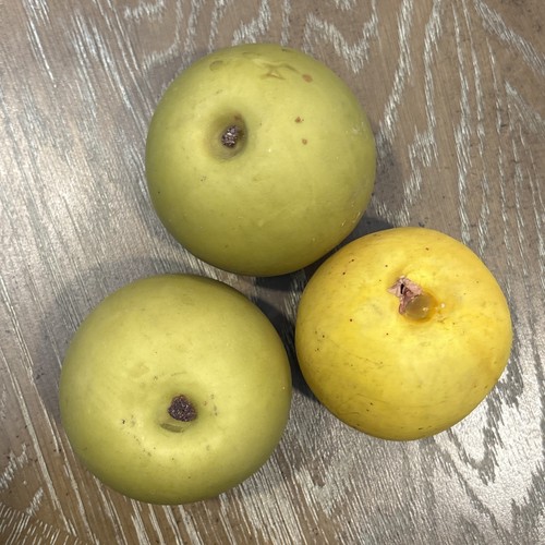 (3) Vintage Faux Fake Green Apples Fruit Granny Farmhouse Staging Theatre Prop - Picture 7 of 10