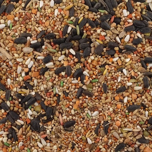 Bird Food Seed Mix Living World Premium Feed for Cockatiels & Lovebirds 908g - Picture 2 of 4
