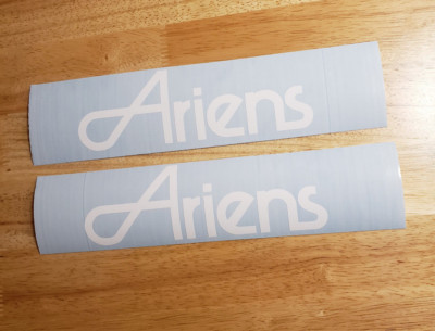 Ariens Snowblower 10” (2) Gloss white Decals Stickers mower tiller usa ...