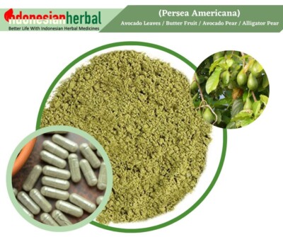 Capsule Of Pure Organic Persea Americana Avocado Organic Natural Herbal Herbs