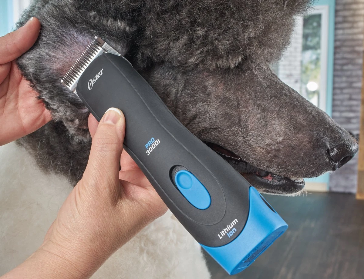 Oster pro 3000i 2025 pet cordless clipper