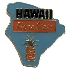 Pack of 24 Hawaii Aloha State Bike Motorcycle Hat Cap Lapel Pin HP4582