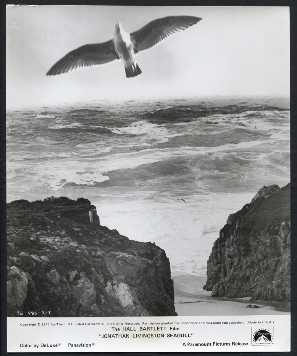 Jonathan Livingston Seagull '73 A BIRD FLYING OVER A BAY | eBay