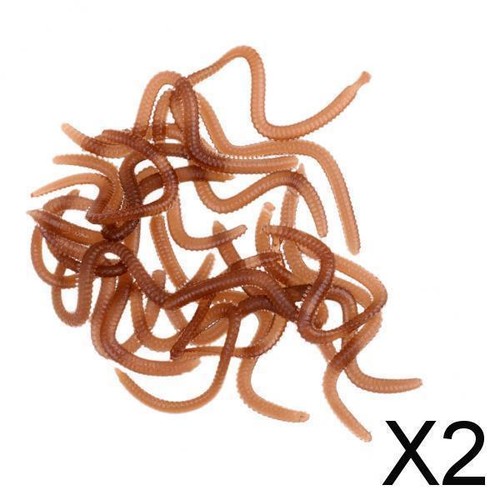 2X 20pcs / Smell Worm Attracts Clam Worms Maggots 9cm eBay