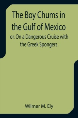 M. Ely - Boy Chums in the Gulf of Mexico or On a Dangerous Cruise wit - X555z