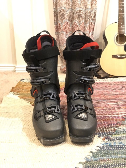 dynafit beast carbon