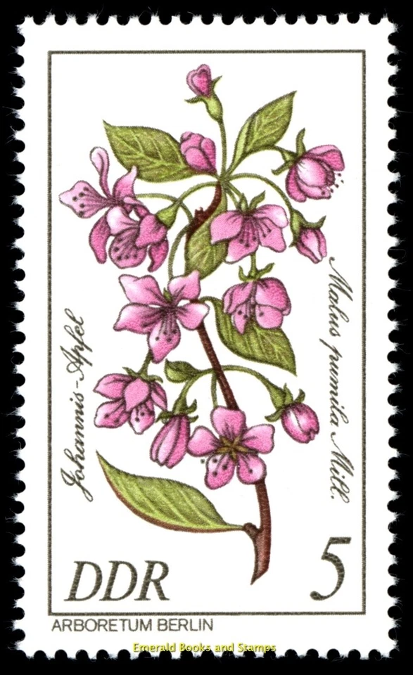 EBS East Germany DDR 1981 - Flowers- Rare Trees - Michel 2573-2578 - MNH** - Image 2 of 4