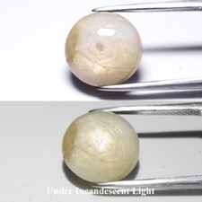    9.18ct Round Cabochon Grey 6 Ray Star Sapphire - Unheated, Myanmar Gem