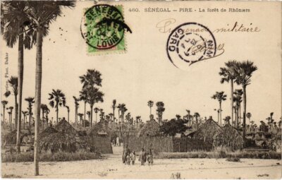 CPA AK SENEGAL 460. Dakar - Fortier - La foret de Rhoniers (70310)