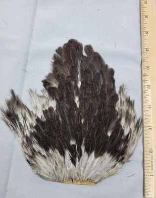 Lot 412,  Natural Hen Back Saddle Soft Hackle Feathers for Fly Tying