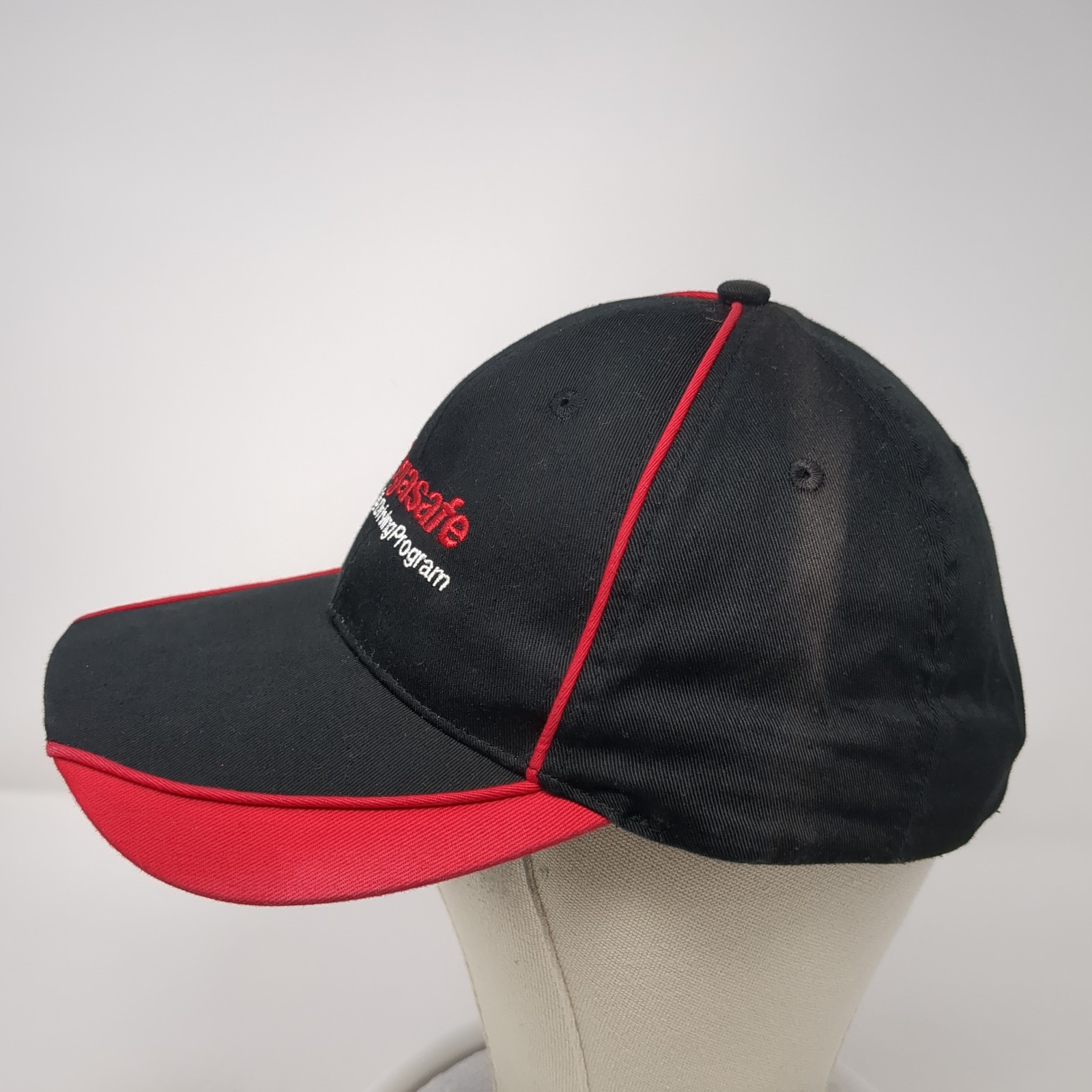 Megasafe Ruan Safe Driving Program Strapback Base… - image 3