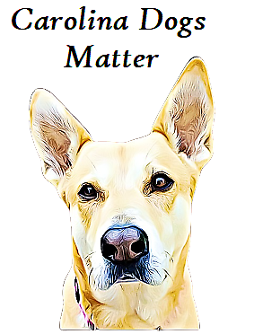 Carolina Dogs Matter, Inc.