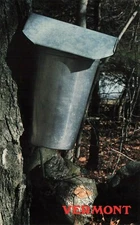 Postcard Maple Tree Sap Bucket Vermont 