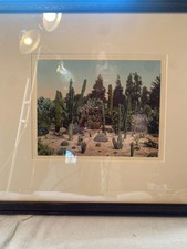 A California Cactus Garden-Ca-Circa 1915- William Henry Jackson Photochrom