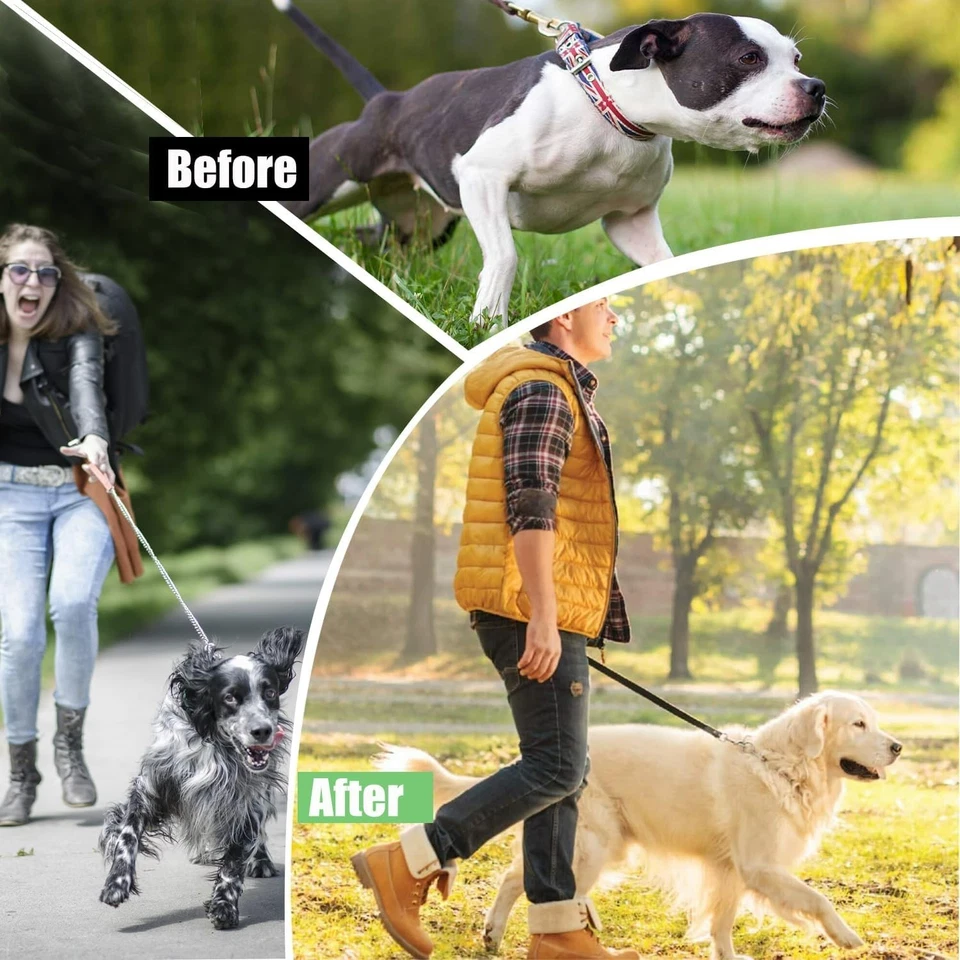 Collar de entrenamiento de puntas ajustable para perro pellizco hebilla de liberación rápida 14"-17" Foto 3 de 4
