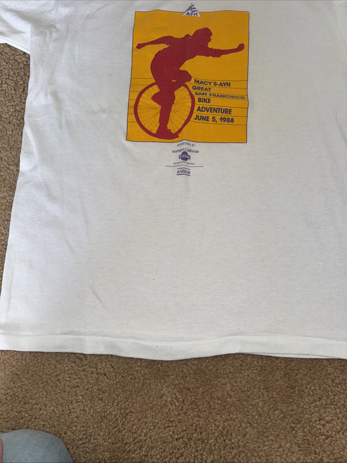 Picture 6 of 9