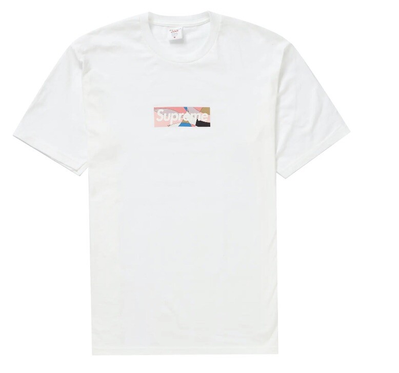 Supreme Emilio Pucci Box Logo Tee White Dusty Pink Size Large 