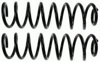 Sachs Fahrwerksfedern Vorne FüR Mercedes CLS (C219) E-KLASSE (W211,S211)