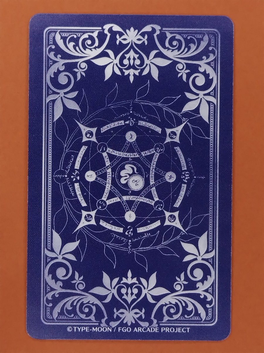 Gilles de Rais Saber FGO Fate Grand Order Arcade Project Type-Moon