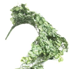 Set of 2 Artificial Variegated Ivy 33" Bush for Home Decor
