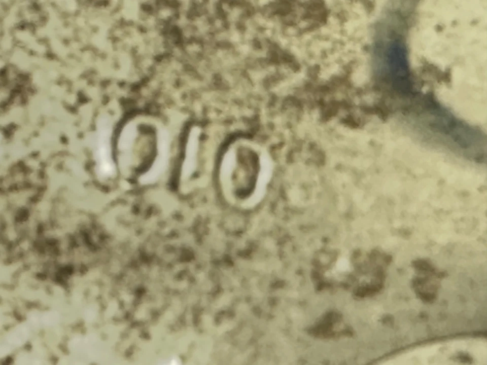 Nuevo de Lote Antiguo Chevrolet Monza y Vega 1971-77 4 cilindros motor pistón GM 3992221 .010 más Foto 3 de 3