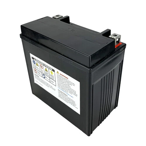 Escopeta YTX14-BS Batería Powersports de repuesto para BMW 2001 2003 F650GS ABS Foto 4 de 4