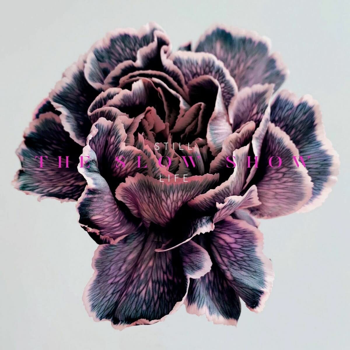 Slow Show Still Life CD NEW