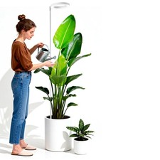 Grow Lights for Indoor Plants, 72 LED 6500K Full Spectrum, 59In Tall Plant Light