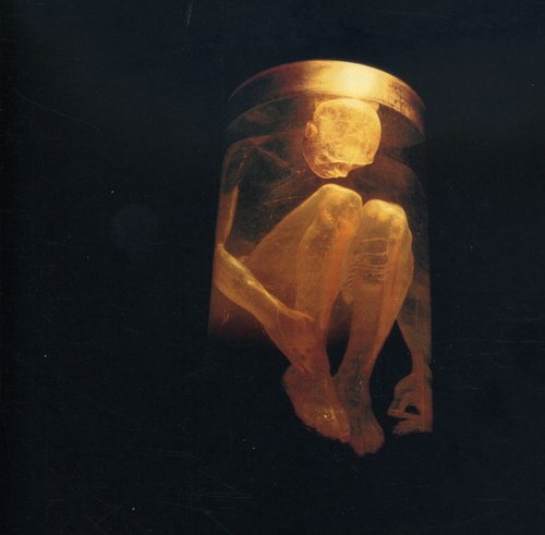 Nothing Safe: Best of the Box von Alice in Chains (CD, 1999) - Bild 1 von 1
