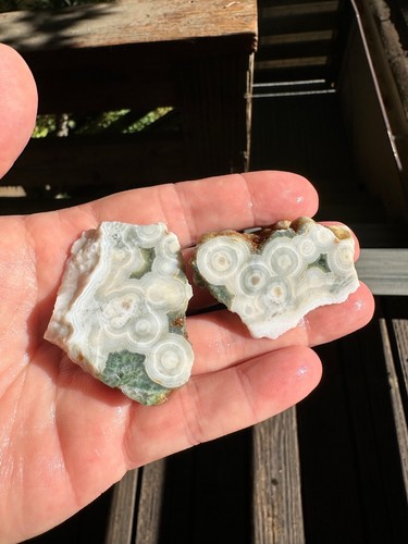 Orbicular Ocean Jaspis grob, zwei Hälften, 60 Gramm, Lapidary/Cabbing