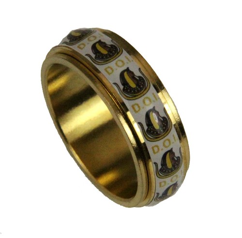 T121 DOI Daughters of Isis Stainless Steel Spinner Ring Mason Freemason D.O.I. - 第 1/2 張圖片
