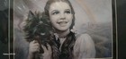 The Wizard Of Oz Framed 14"x11" Photo Dorothy Holding Toto — photo 2