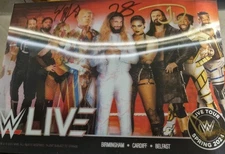 WWE Live Signed 2024 VIP Holographic A4 Autographed Print Shayna Stark JD Priest