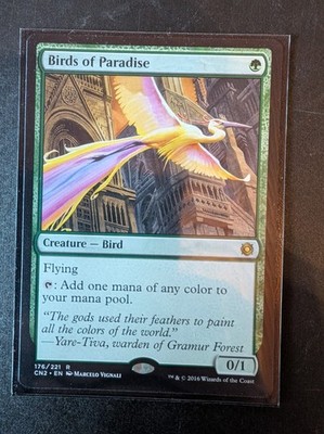 MTG | Birds of Paradise / Paradiesvögel | NM | EN | CN2 176/221 