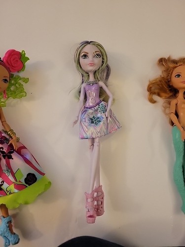 ๐ฅ๐ฅ๐ฅ (11) Ever After High Briar Beauty Doll Way Too Wonderland Doll LOTTO - Foto 23 di 24