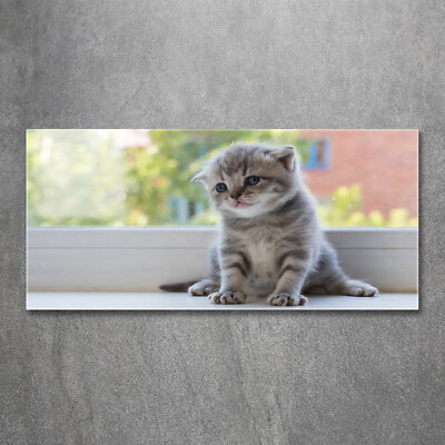 Tulup Image Sur Verre Trempé Tableaux 125x50 - Cinq Chats