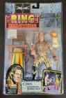 1999 Toy Biz WCW Ring Masters Chris Jericho First Figure Lionheart 