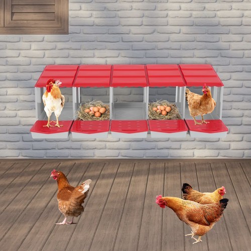5-Compartment Chicken Nesting Box Chicken Laying Box with Egg Collection USA