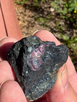 Covellite, rounded ''mass'', on Digenite/Chalcocite(?) , Leonard mine, Butte. MT
