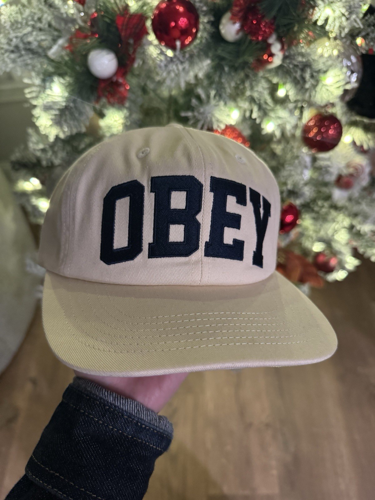Obey Hat - image 4