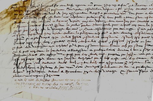 Unconnu - Parchemin manuscrit Français XVI siècle acte de vente Signum