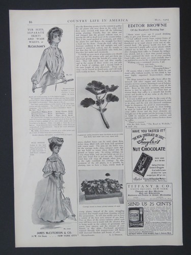 Litografía 1905 9x13 The Equitable, Lea & Perrin's, Tiffany & Co. NY anuncios 2 caras - Imagen 2 de 2