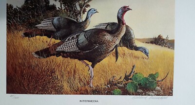Richard Amundsen 1978 NWTF Wild Turkey Stamp Print S/N