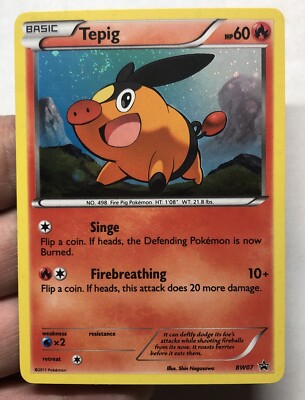 Tepig BW07 Black & White Promos Holo Swirl NM