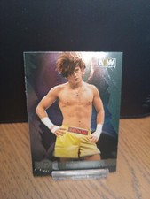 2022 AEW Upperdeck Metal Universe HOOK