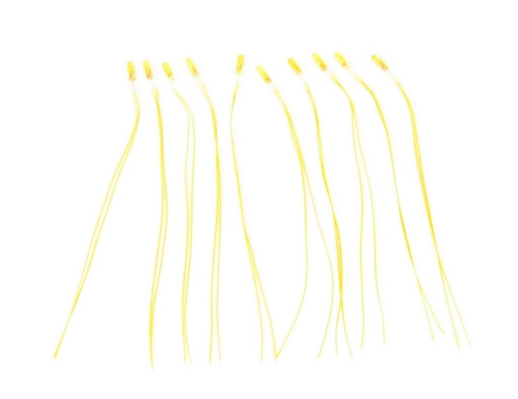 Grain of Wheat Bulbs Yellow (Pack of 10)