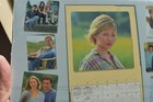 DAWSON'S CREEK JAMES VAN DER BEEK 2000 VINTAGE TEEN IDOL calendar — photo 2